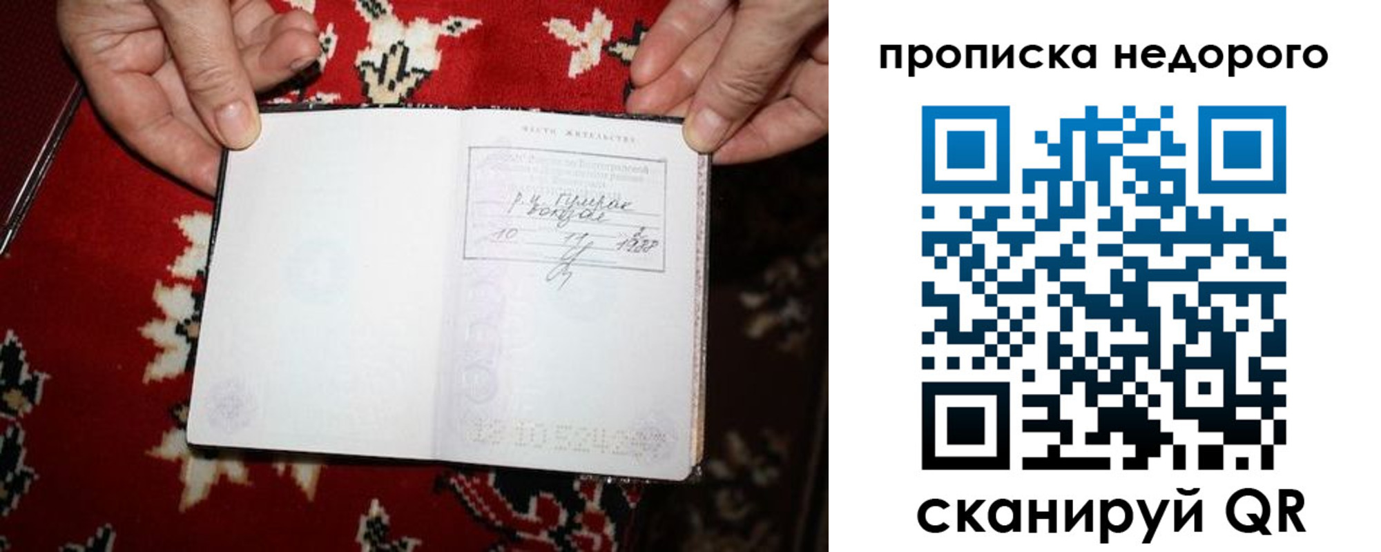 прописка гарантия в Нововоронеже